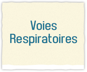 Voies respiratoires